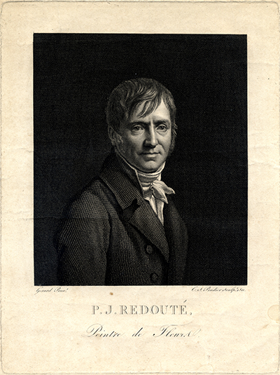 Pierre-Joseph Redouté (1759-1840)