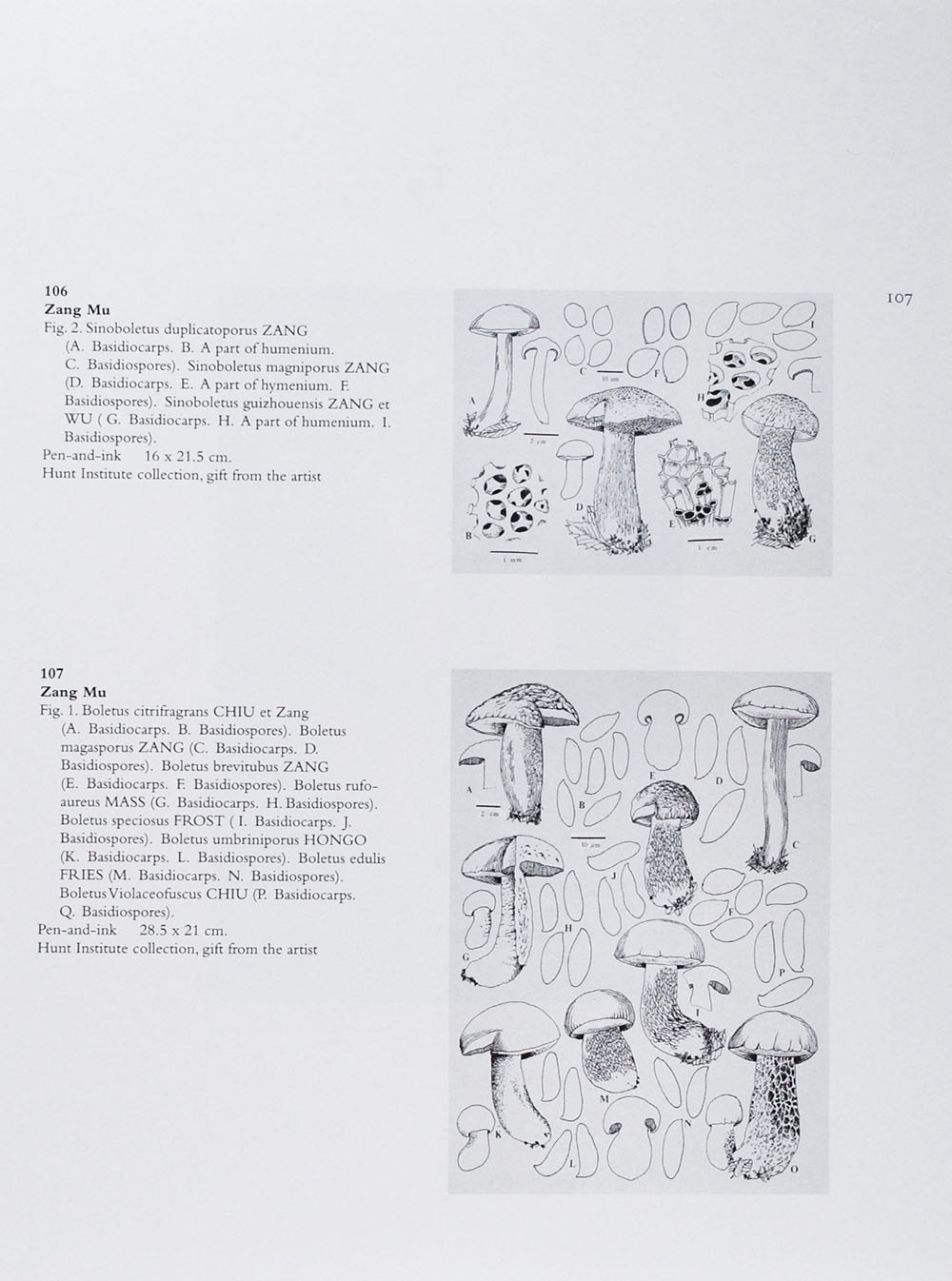 Zang Mu Catalogue Of The International Exhibition Of Botanical Art Illustration